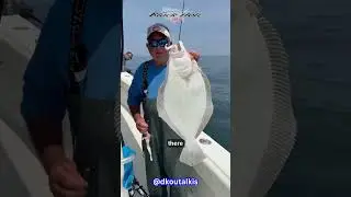 Jumbo Fluke! Black Hole USA Air Flex 