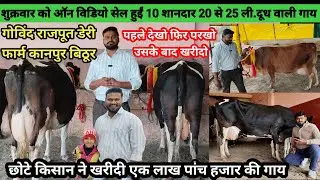 देखिए गोविंद राजपूत डेयरी फार्म पर बेहतरीन गाय बिक्री के लिए उपलब्ध | govind rajput dairy farm #cow 
