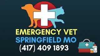 Emergency Veterinary Springfield MO | 24 Hour Vet Springfield MO | (417) 409 3981