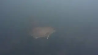 Scuba Dive Lake Lac Courte Oreilles, Wisconsin 7/21/18