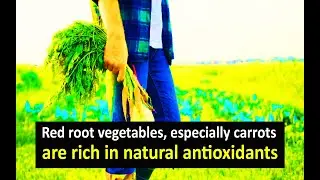 Red and orange root vegetables, especially carrots, are rich in natural antioxidants
