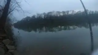White Bass on Light Tackle