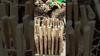 Adventure - Palm Broom - Travel #Shorts #Shortvideo #cambodia #broom #nature