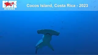 Elite Divers - Cocos Island 2023