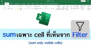 Excel sums only visible cells