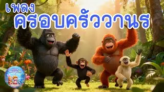 ครอบครัววานร Ape Family | เพลงเด็กสอนรู้จักลิงไม่มีหาง 4 ชนิด | LittleMelodyMe Jungle Song