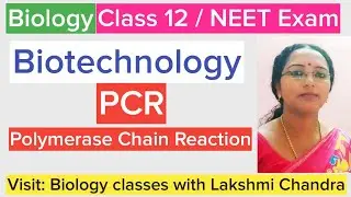 Polymerase Chain Reaction (PCR) Explained | Class 12 Biology | NEET