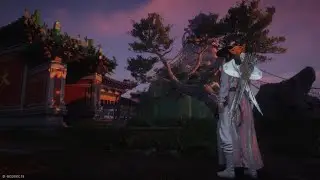 Cat Play: Kitten - Tiger Cub (Fairgrounds) | Where Winds Meet PS5