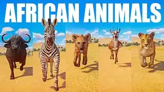 African Animals Speed Races on the Savanna in Planet Zoo included Lion, Zebra, Hyena, etc