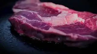 Bison Steaks auf dem Grill / Bisonsteaks on the bbq / lecker yummy delicious food