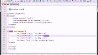 Pseudo Classes in css 3