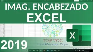 Insertar Imagen en Encabezado de Excel 2019