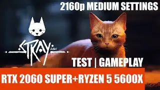 Stray | RTX 2060 SUPER+RYZEN 5 5600X | 2160p