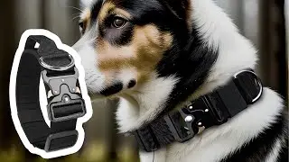Heavy-Duty Tactical Dog Collar with Handle & Metal Buckle &ndash; OEM Training Collar Solution