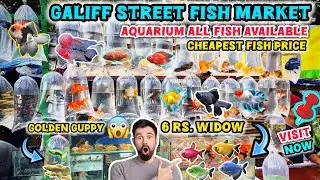 Galiff Street Pet Market ।&zwnj;📌All Fish Price Update Recent Video 📸। Exotic Gold Fish, Guppy Fish🐠।