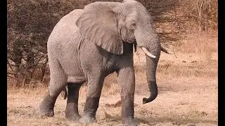 CHIMBO: TAZAMA MAAJABU YA MKOA WA IRINGA