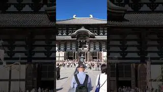 Todai-ji Daibutsuden: Discover Nara&rsquo;s Ancient Great Buddha Hall | 東大寺大仏殿 #xiaoqiangwalker #japan
