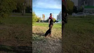 Строго по любви 😌 тгк: tyratray #доберман #собака #dogtraining