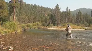 Fishing the Lower WF Bitterroot River in Montana