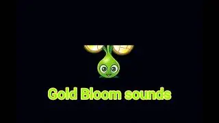 Gold Bloom's sounds