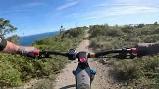 DH Uomini