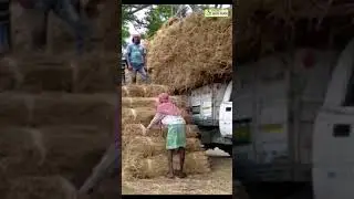 ঐতিহাসিক রাই সুপ্রিম কোর্টের !! জেনে নিন কি সেই রাই। #shots
