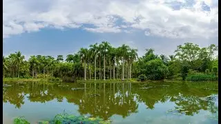 Xishuangbanna's Tropical Forest: China's Lesser Known Paradise