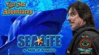 Sea Life Mall of America
