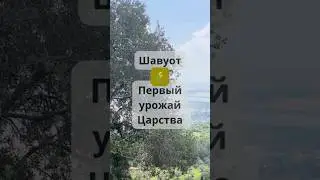 Шавуот - Первые плоды 🌾 Царства #йешуа #иисус #библия #израиль #israel #scriptures #shavuot #шавуот