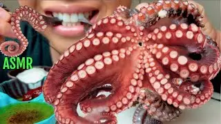 *SAVAGE* ASMR 🐙GIANT OCTOPUS + Garlic Mayo + Sesame Oil + 고추장  *No Talking* suellasmr