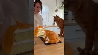 Cat Thinks Cake Is a Real Cat &mdash; Her Reaction Is INSANE etudjkxv