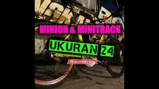 MINION FRAME 24