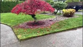 A clean landscape that instantly stands out
