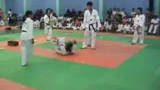 Taekwondo kyukpa PUTS