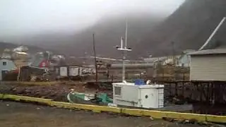 Visit to Petty Harbour Nov,2009