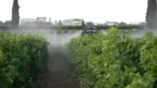 Prova in campo SprayMist - Atomizzatori Florida