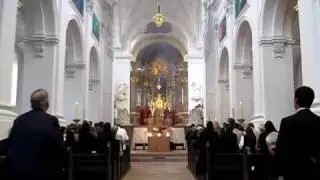 Altarweihe im Neumünster von Würzburg 24.Juni 09