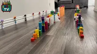 NumberBlocks 1-30 Double Domino Chain Reaction!  | |  Leo&rsquo;s Tv 