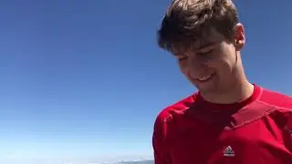 Bisaurin