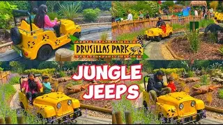 THEME PARKS - Amazing Jungle Safari Jeeps At Drusillas Zoo Park UK