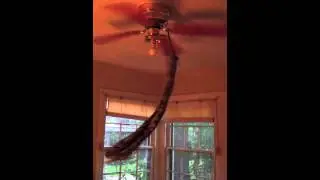 Aerial Dance Performance in My Bedroom