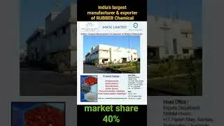 Monopoly market leader small cap stock | market leader in rubber chemical |futuristic business model
