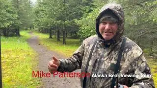 Alaska Bear Viewing Tours