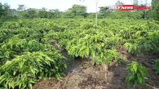 KILICHOWAKUTA WAKULIMA WA KAHAWA KAGERA, KATIKA USAJILI
