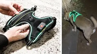 Vizbright Light Up Harness