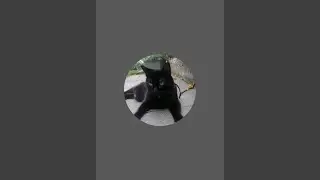 RafB is live!