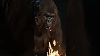 🍃 Welcome to Bigfoot&rsquo;s Wild Forest Feast!🍄🔥