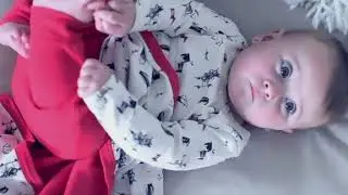Finn + Emma's Dog collection