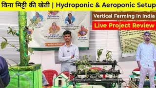 Soilless Farming | Hydroponic & Aeroponic Vertical Farming Setup | Modern Farming Technology