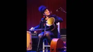 Marina Sorin Phonofiddle